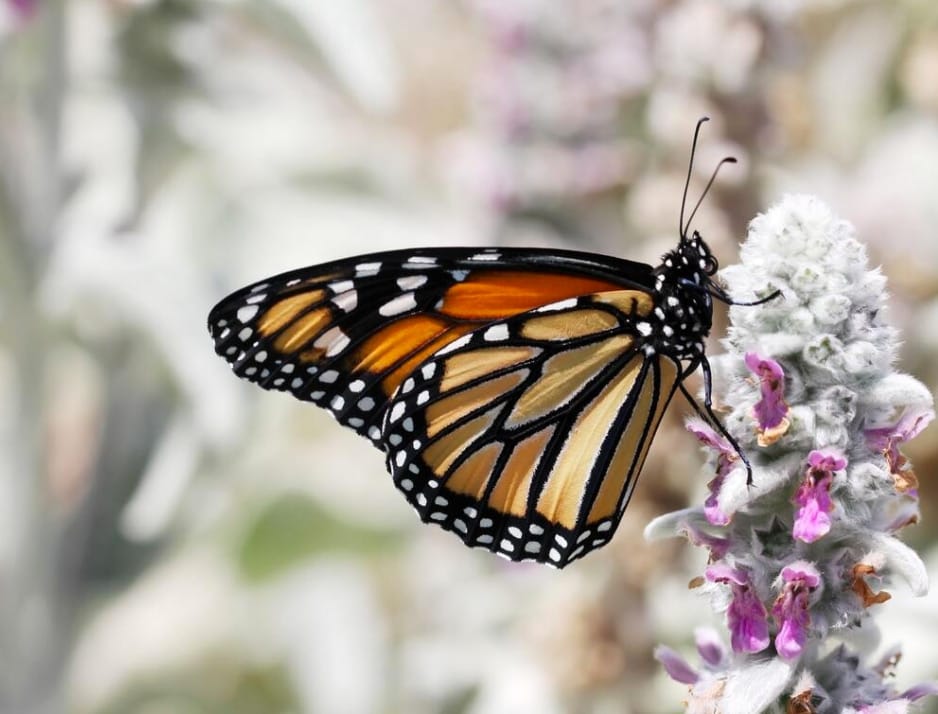 cambio di stagione armonia corpo e mente natura e benessere