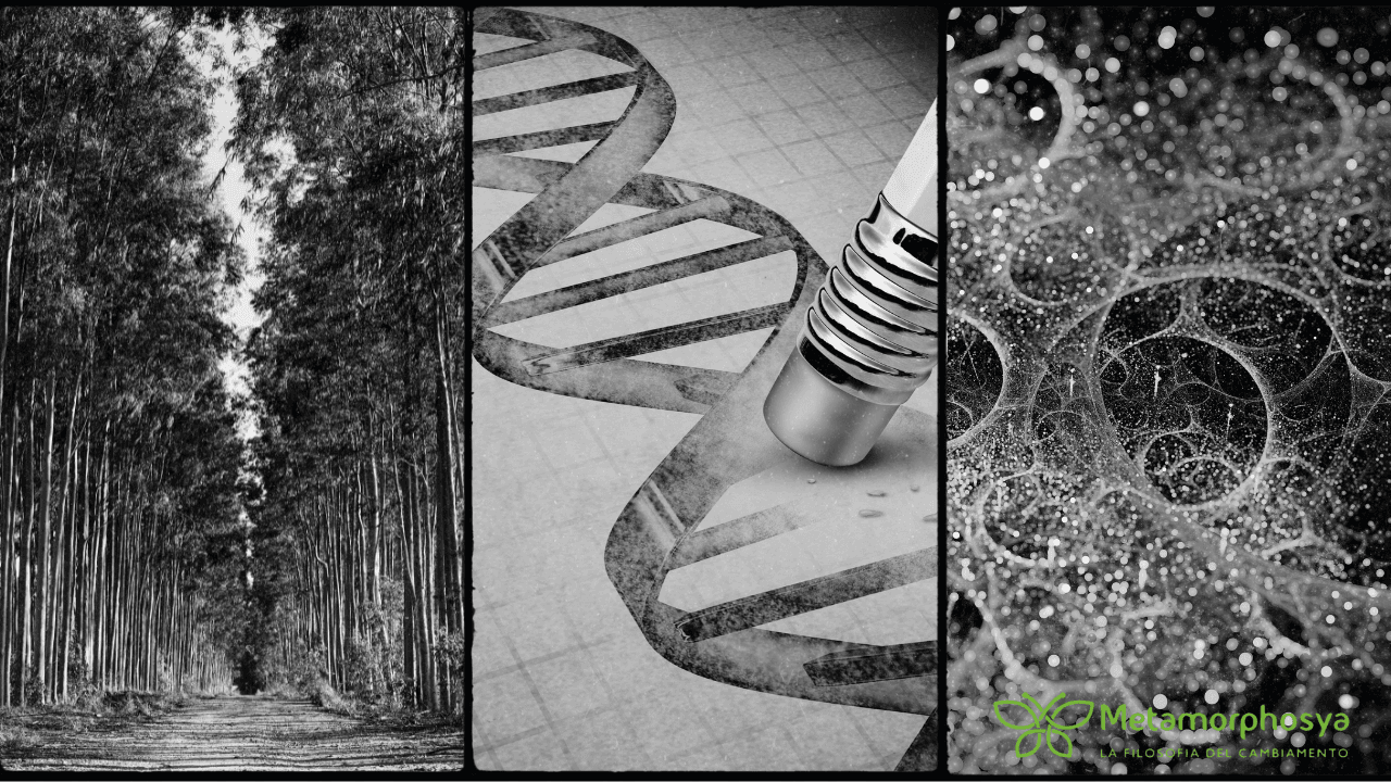 Epigenetica e espressione genetica: geni che si attivano e si disattivano
