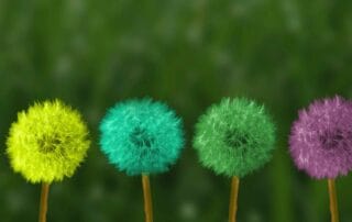 segui la tua intuizione per il cambiamento e la consapevolezza interiore