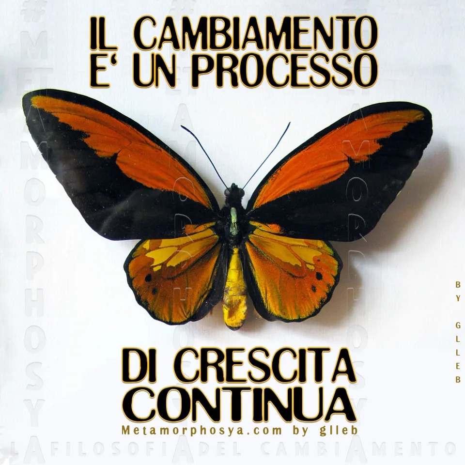 Invito a entrare nel percorso di cambiamento di Metamorphosya