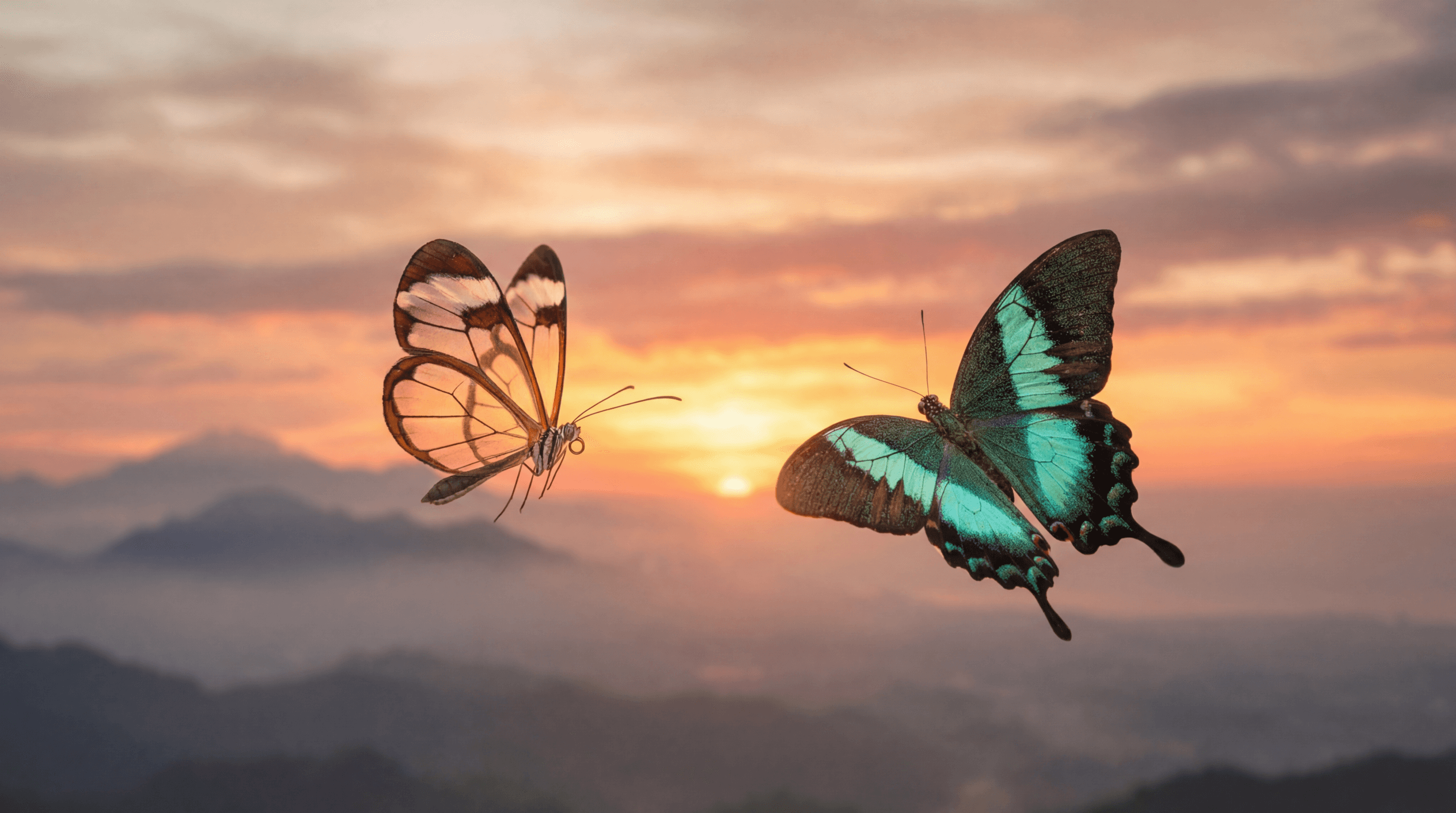 Bellessere Metamorphosya: equilibrio naturale tra mente, corpo ed energia